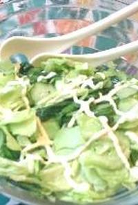 春キャベツのグリーンサラダ