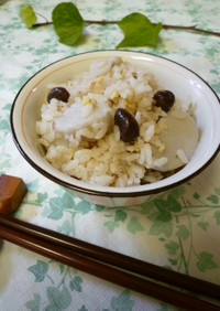 高野入り里芋とそら豆の炊き込みご飯