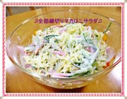 ♫全部細切りマカロニサラダ♫の写真