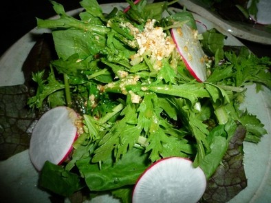 高菜と壬生菜のサラダ～秋　京都カフェの写真