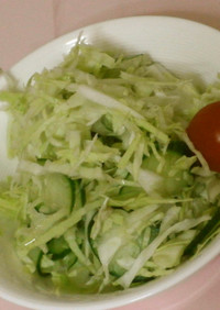 病院給食で本当に出た生野菜のサラダ