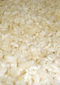自家製　米麹　手作り味噌