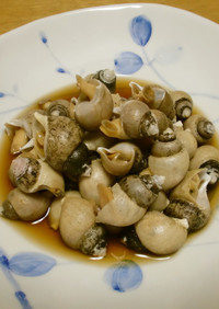 バイ貝の含め煮