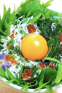 ஐ水菜と大根☆釜揚げしらすのサラダ丼ஐஃ