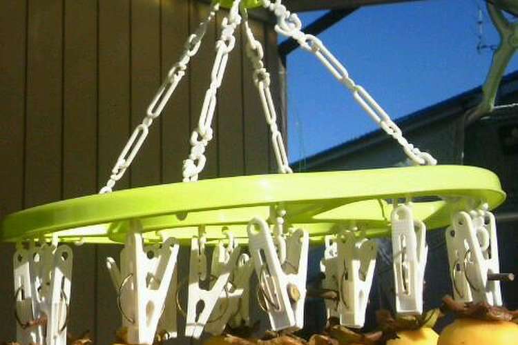 ピンチハンガーで手作り干し柿 レシピ 作り方 By Monkeysmom クックパッド 簡単おいしいみんなのレシピが354万品