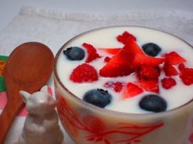 薬膳マヌカハニー白プリンみるくソースかけ