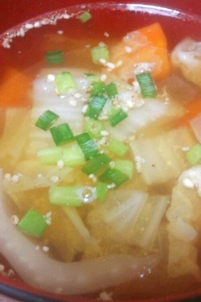 白菜とにんじんのスープの写真
