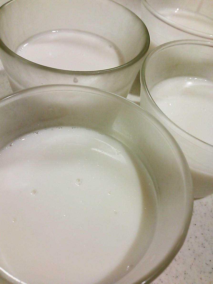 【糖質制限】ココナッツミルクプリンの画像