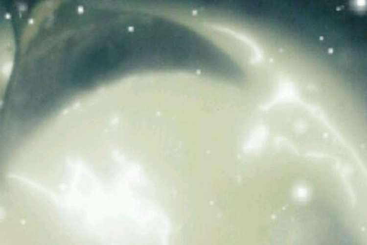 余り物で美味しい 白いドレッシング レシピ 作り方 By あきちゃん100 クックパッド 簡単おいしいみんなのレシピが359万品