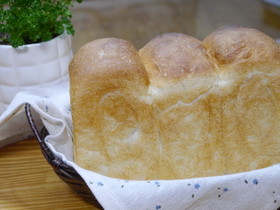 自家製レーズン酵母でふんわり食パン