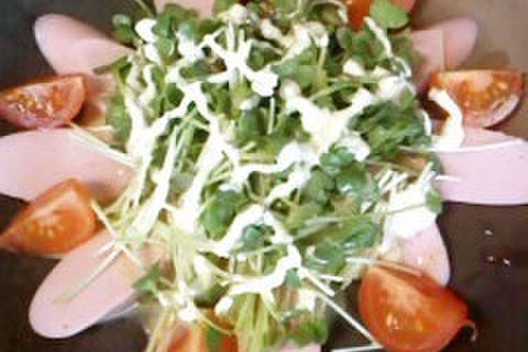 カイワレ 魚肉ソーセージで簡単サラダ レシピ 作り方 By Nyajirou クックパッド 簡単おいしいみんなのレシピが359万品
