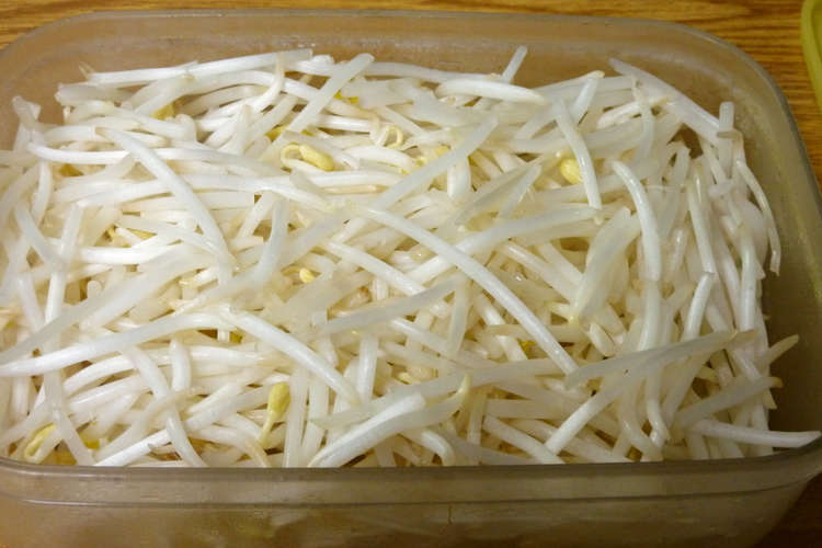 50度洗いでずっとシャキシャキもやし レシピ 作り方 By Ruriko428 クックパッド 簡単おいしいみんなのレシピが355万品