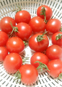 トマト農園伝授プチトマトの正しい保存方法