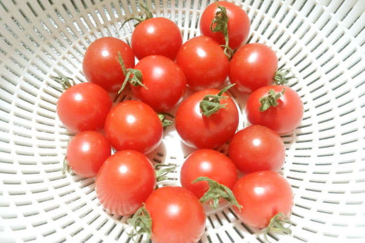 トマト農園伝授プチトマトの正しい保存方法 レシピ 作り方 By レモンジャ クックパッド