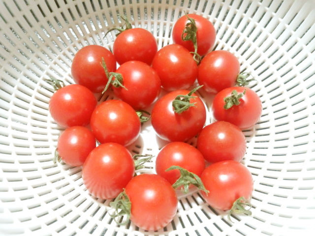 トマト農園伝授プチトマトの正しい保存方法の画像
