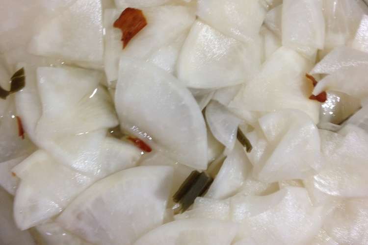 カジュアル に変わる アラブ かぶの漬物酢 はさみ 日没 スクラッチ