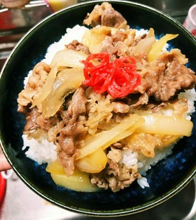 すき家好きの認めた牛丼