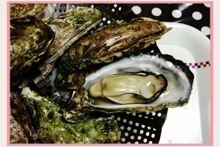 殻付き牡蠣 フライパンで簡単調理 レシピ 作り方 By あき クックパッド 簡単おいしいみんなのレシピが356万品