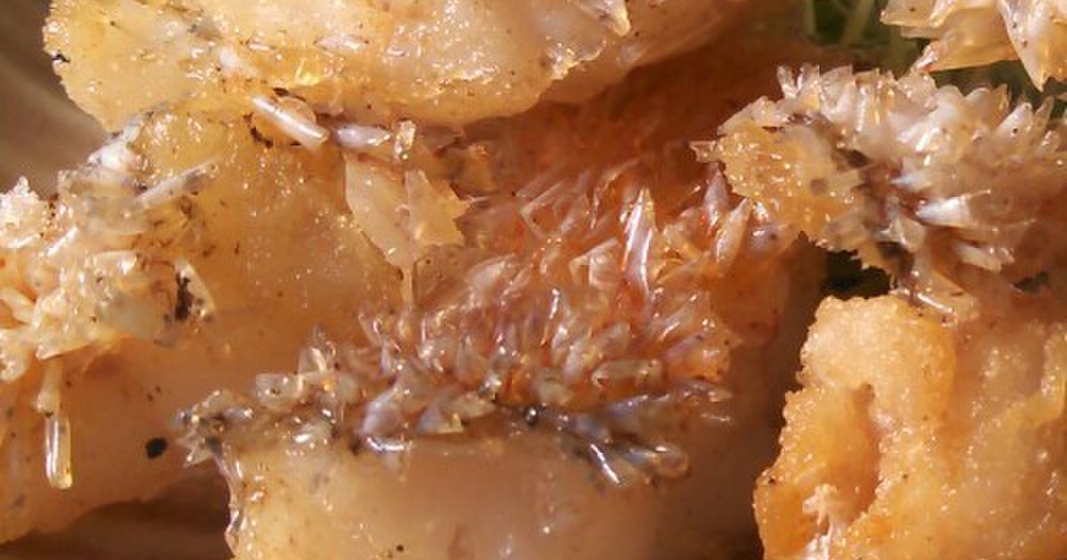 サクサクがやみつき 甘鯛の松かさ揚げ レシピ 作り方 By まふまふうさぎ クックパッド 簡単おいしいみんなのレシピが354万品