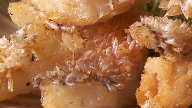 サクサクがやみつき 甘鯛の松かさ揚げ レシピ 作り方 By まふまふうさぎ クックパッド 簡単おいしいみんなのレシピが361万品