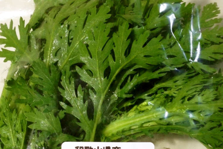 あまった菊菜 春菊 の保存法 レシピ 作り方 By さやあ クックパッド 簡単おいしいみんなのレシピが354万品
