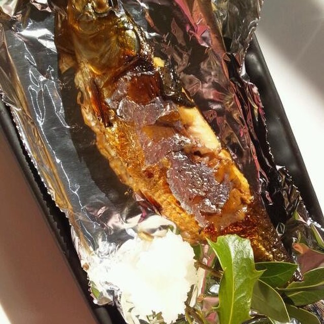 いわしの塩焼き レシピ 作り方 By Ma Chan クックパッド 簡単おいしいみんなのレシピが353万品 いわしの塩焼き レシピ 作り方 By Ma Chan クックパッド 簡単おいしいみんなのレシピが353万品