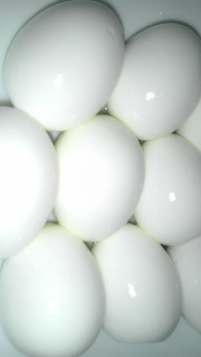 超簡単★ゆで卵の綺麗な剥き方の写真