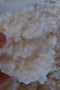 電気毛布で作る米麹だワン