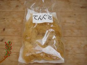手作りところてん