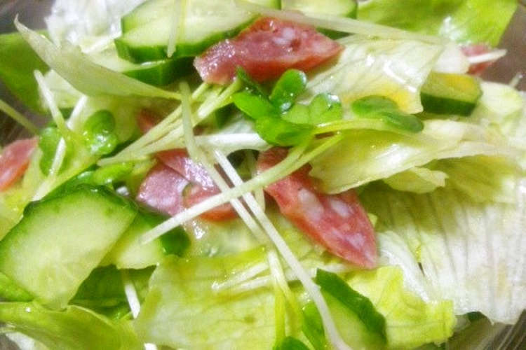 バリバリ食べて サラミサラダ レシピ 作り方 By みぃた クックパッド