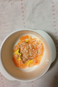 離乳食初期 にんじん豆腐