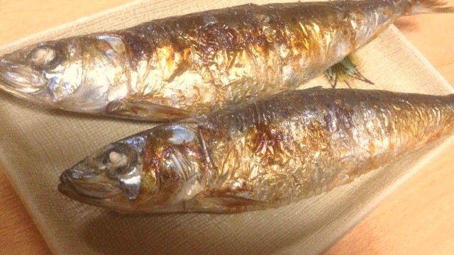 塩焼き いわし 【きょうの料理】いわしの塩焼き フレッシュサルサ（大原千鶴）を作ってみた！【小粋な季節の食卓】【NHK】