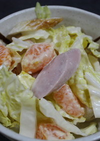 みかん消費☆白菜とみかんの簡単サラダ