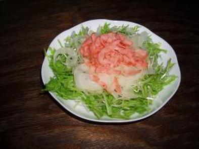 水菜のフレンチサラダの写真