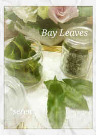 みんなの ローリエの作り方 レシピが2品 クックパッド