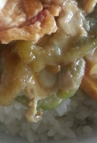 沖縄料理　ナーベラー(へちま)の味噌煮