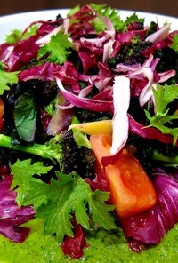 イタリア野菜のグリーンポタージュ風サラダ