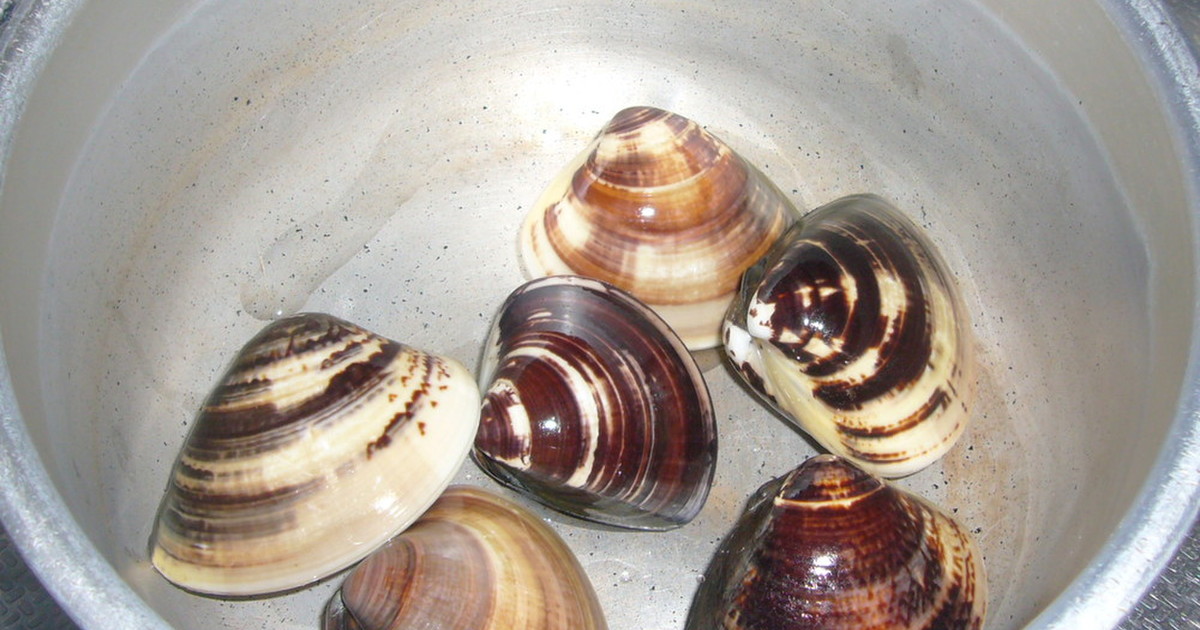 はまぐりの冷凍保存 レシピ 作り方 By Desertrose クックパッド 簡単おいしいみんなのレシピが353万品