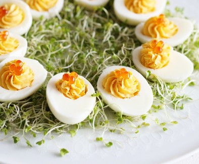 イースターの王道　卵料理　デビルドエッグの写真