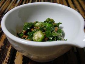 野菜不足解消!モロヘイヤ納豆