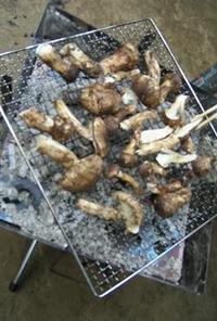 アウトドア料理：松茸の炭火焼き！！！