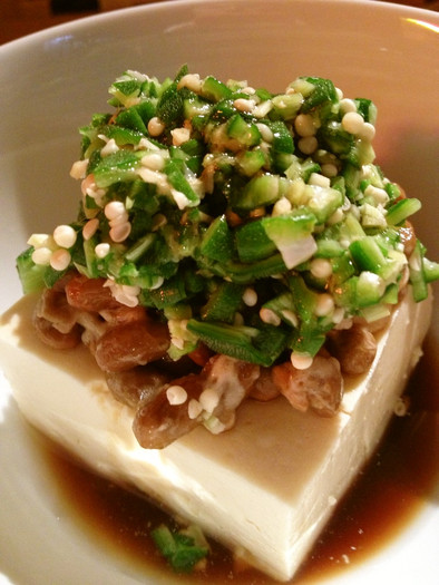 ネバネバ・ダイエット豆腐の写真