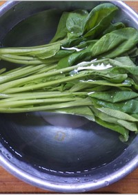小松菜の保存法