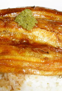 愛知の魚100選　アナゴの蒲煮丼