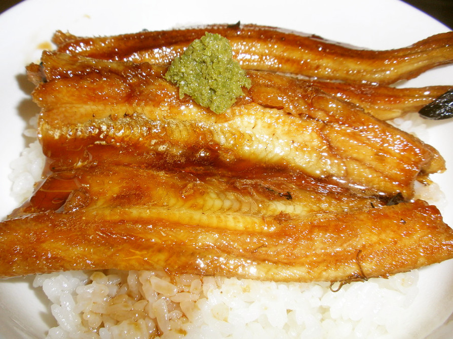 愛知の魚100選　アナゴの蒲煮丼