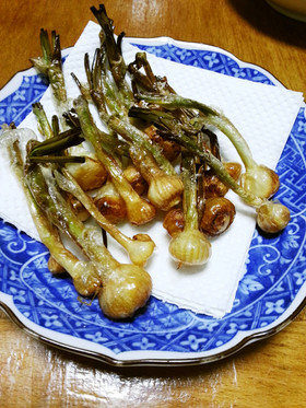 ノビルの素揚げ