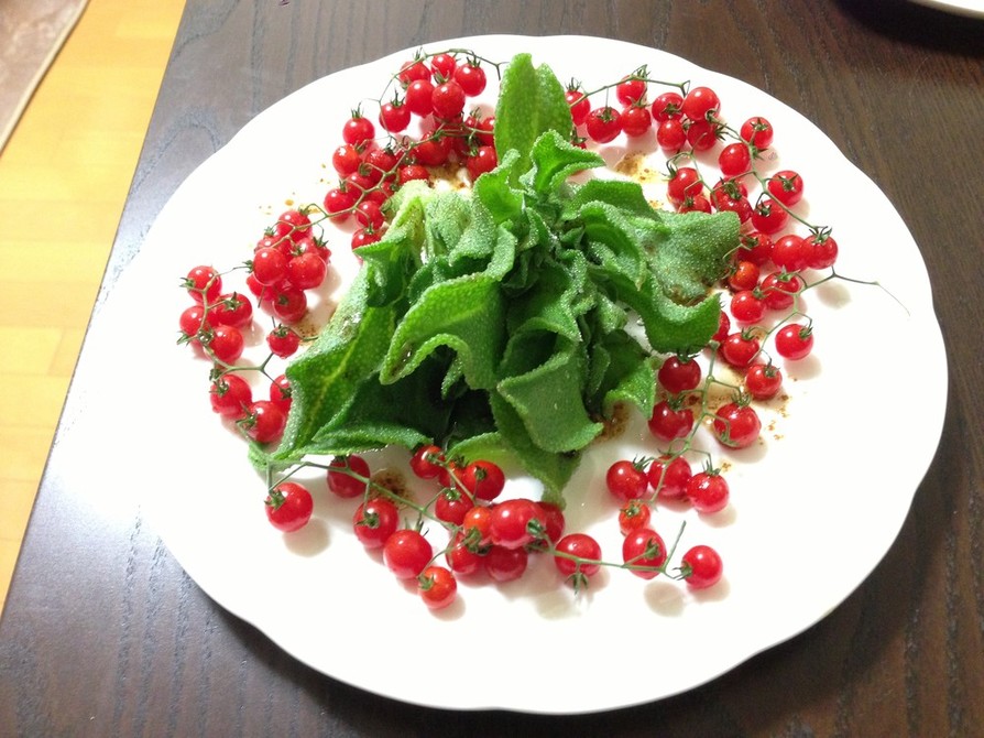 マイクロトマトとプッチーニの彩りサラダ☆の画像