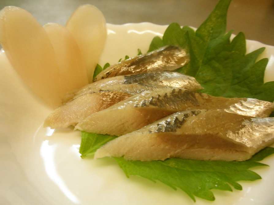 愛知の魚100選　マイワシの酢じめの画像