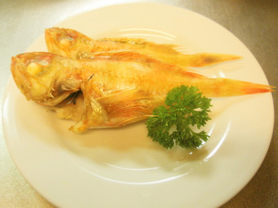 愛知の魚100選　ユメカサゴの塩焼の写真