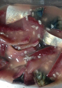 鯖の塩麹と乳酸菌の下拵え　保存食